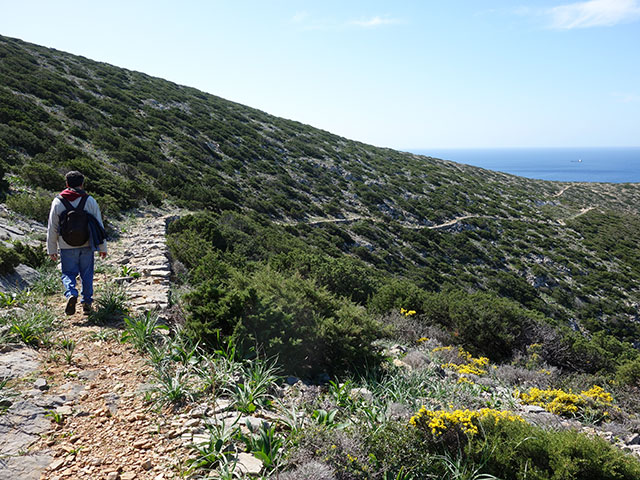 The trail for Agios Nikolaos of Heronissos